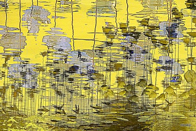 Cr&eacute;dito: Regina Oleski