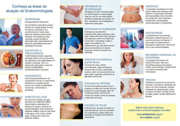 Áreas de atuação do médico endocrinologista - Foto: Comunicação SBEM