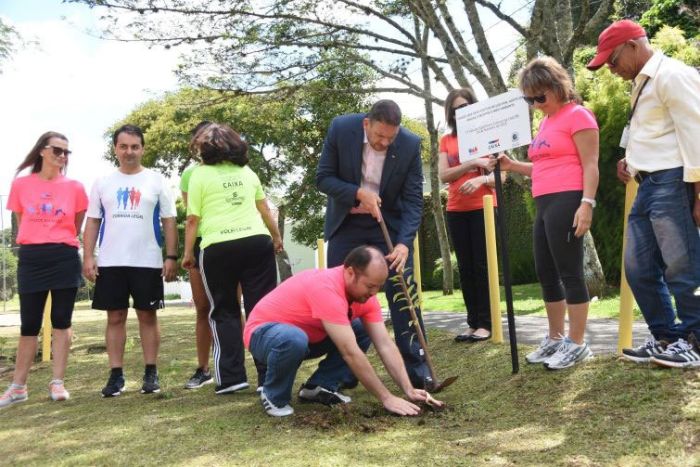 Em parceria com comissões da OAB foram plantadas mudas de árvores - Foto: Divulgação Em parceria com comissões da OAB foram plantadas mudas de árvores - Foto: Divulgação