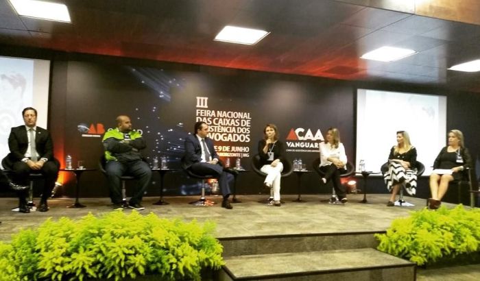 Vice-presidente Daniela Ball&atilde;o apresentou projetos da CAA/PR para representantes de CAAs de todo o pa&iacute;s - Foto: Divulga&ccedil;&atilde;o