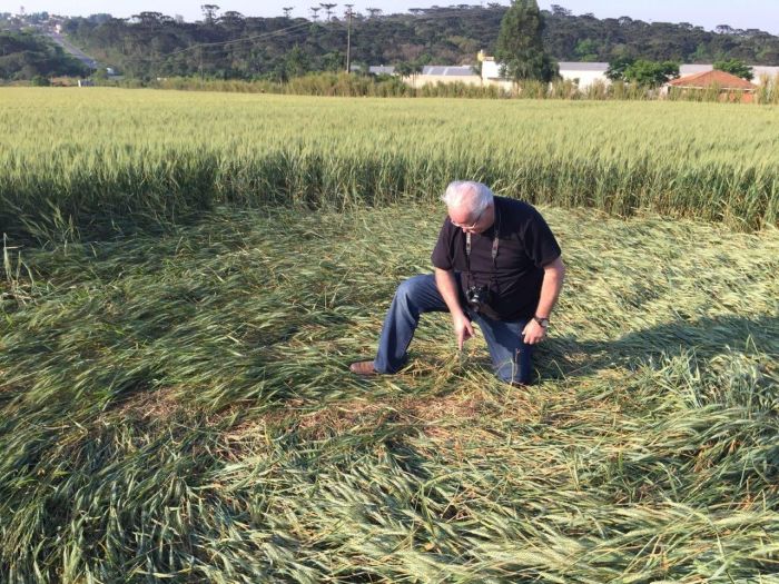 Gevaerd examina um agroglifos - Foto: Divulgação
