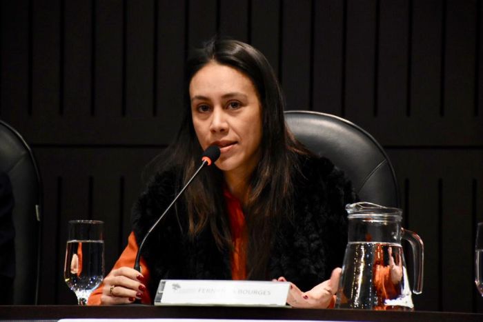 Professora Fernanda Bourges - Foto: Bebel Ritzmann Professora Fernanda Bourges - Foto: Bebel Ritzmann