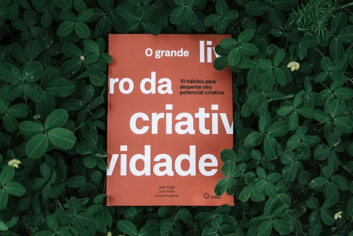 Capa d’O grande livro da criatividade -  10 hábitos para despertar seu potencial criativo - Foto: Divulgação
