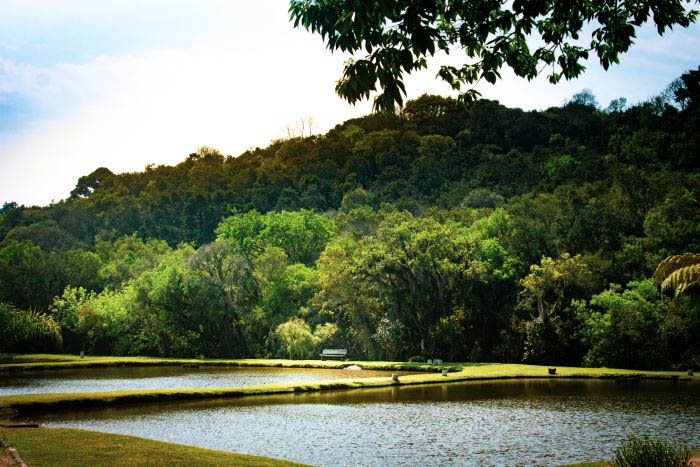 O lago de 210.000 m² é ideal para praticar esportes - Foto: Divulgação O lago de 210.000 m² é ideal para praticar esportes - Foto: Divulgação