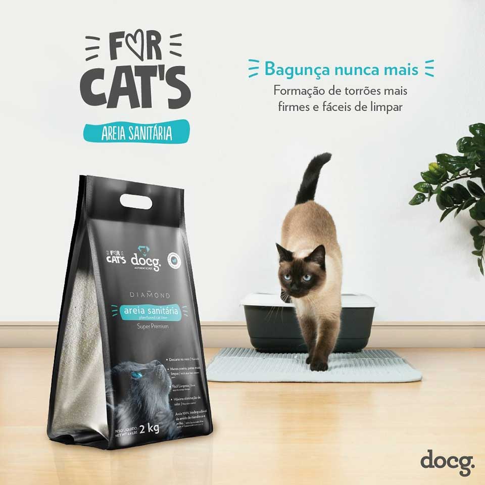 for cats